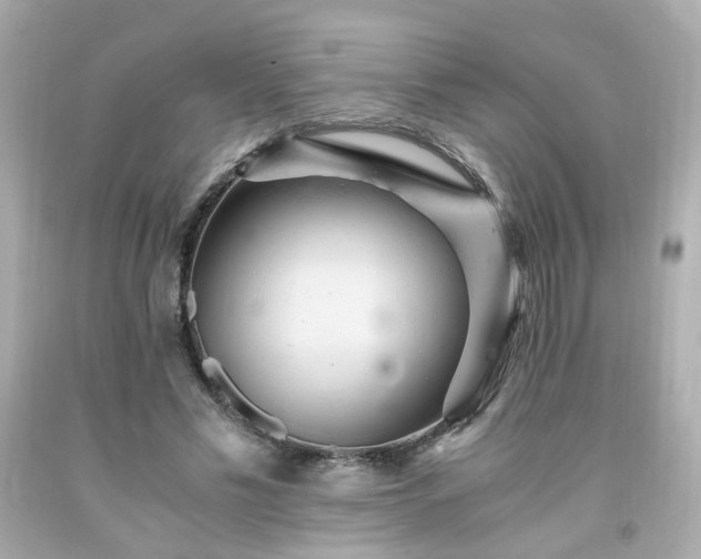 X0000091940589200709121621