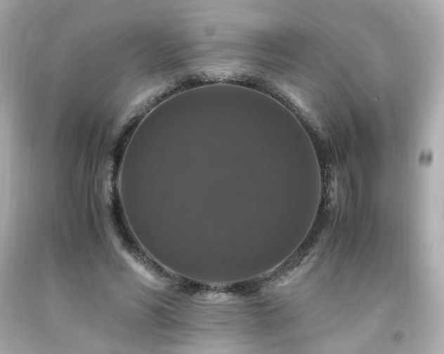 X0000091940590200709121620