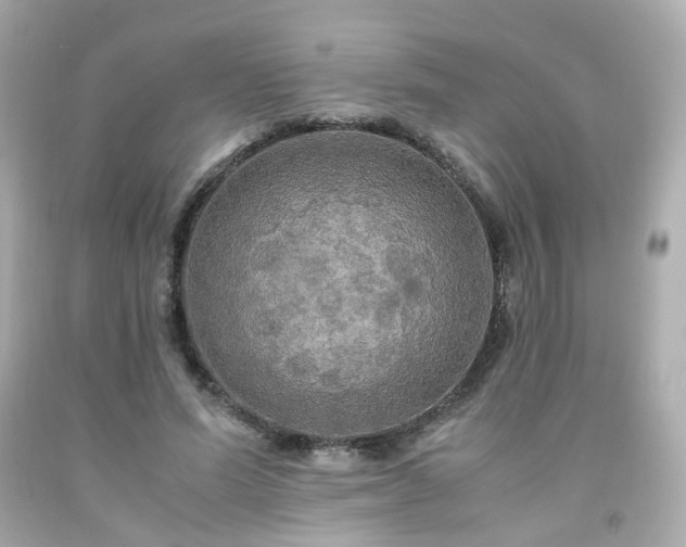 X0000091940591200709121620