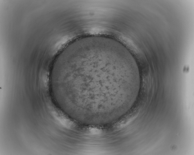 X0000091940592200709121620