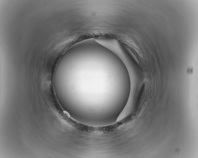 X0000091940593200709121620