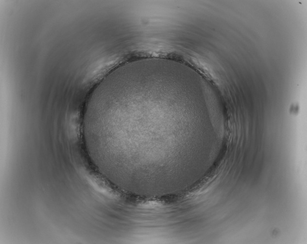 X0000091940594200709121620