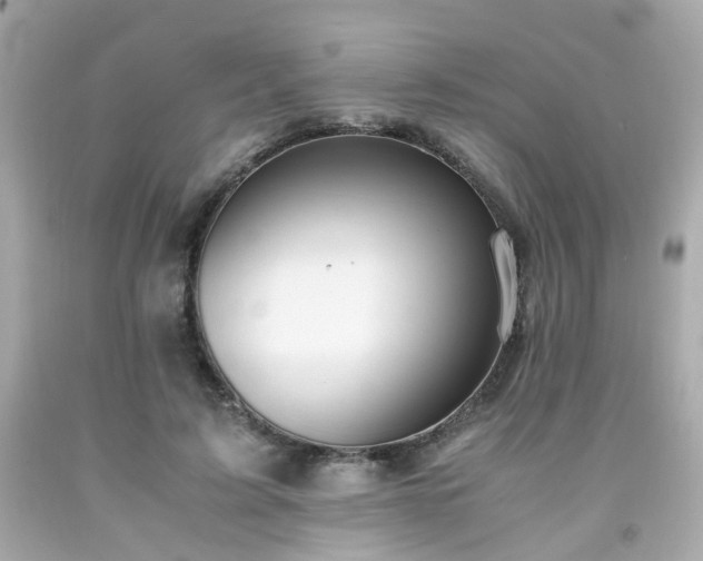 X0000091940595200709121620