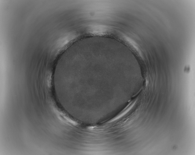 X0000091940596200709121620