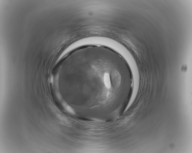 X0000091940597200709121620