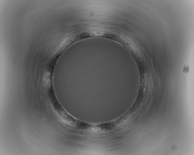 X0000091940598200709121620