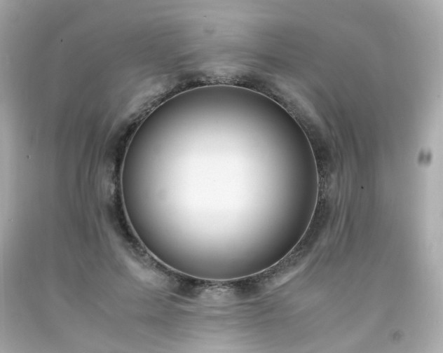 X0000091940599200709121620