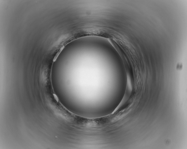 X0000091940600200709121620