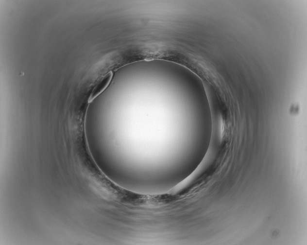 X0000091940601200709121620