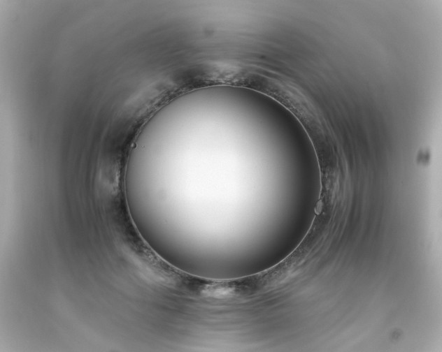 X0000091940602200709121620