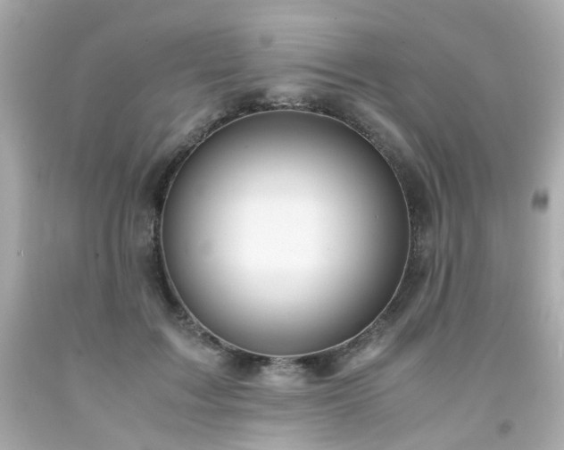 X0000091940603200709121620