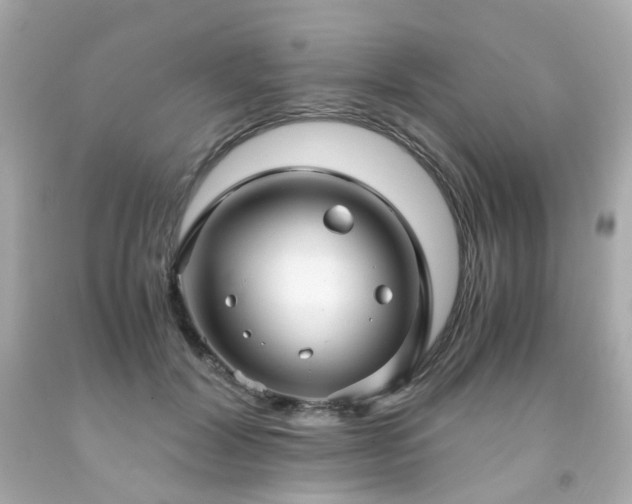 X0000091940604200709121620