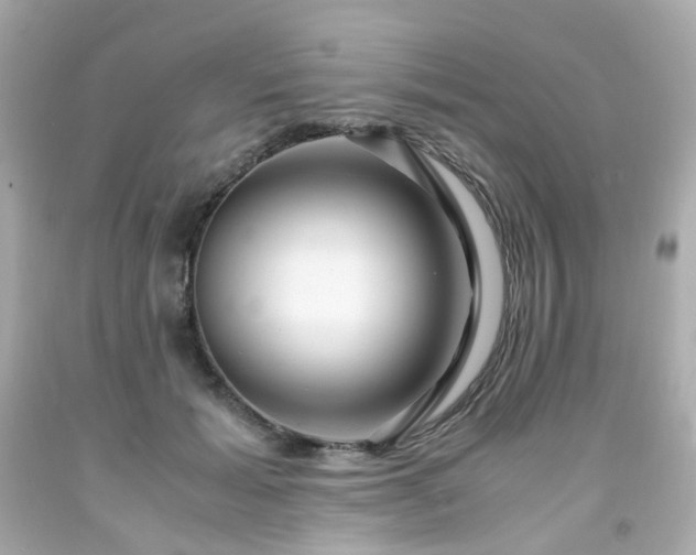 X0000091940605200709121620