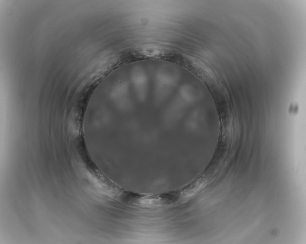 X0000091940606200709121620