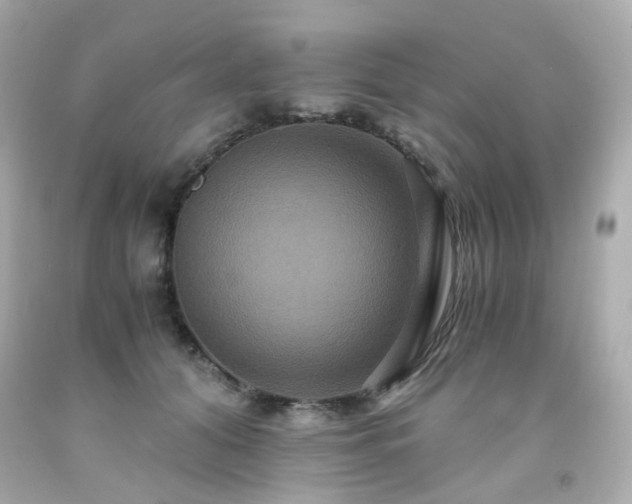 X0000091940608200709121620