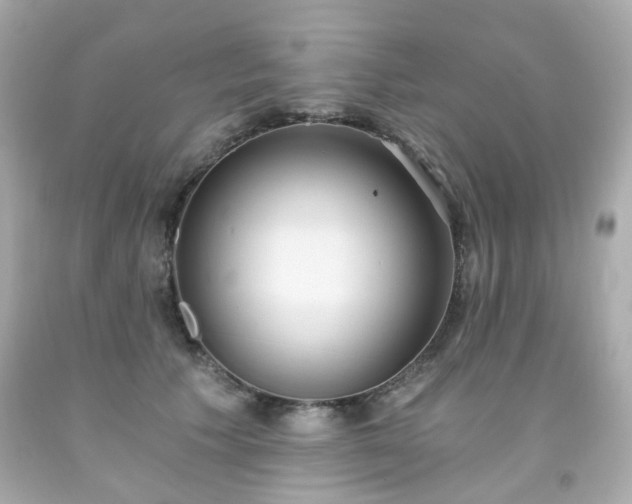 X0000091940609200709121620