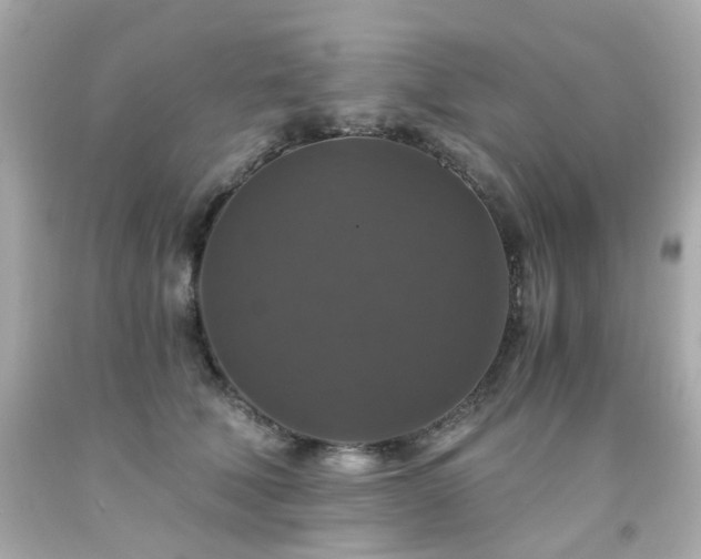 X0000091940610200709121620