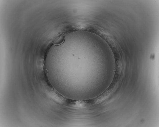 X0000091940612200709121620