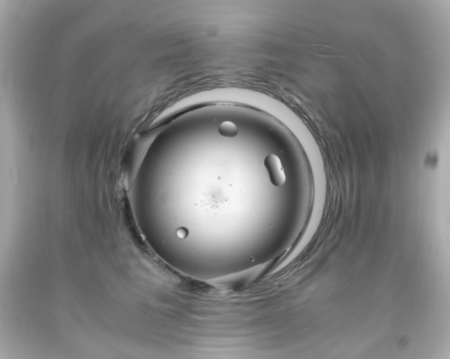 X0000091940613200709121620