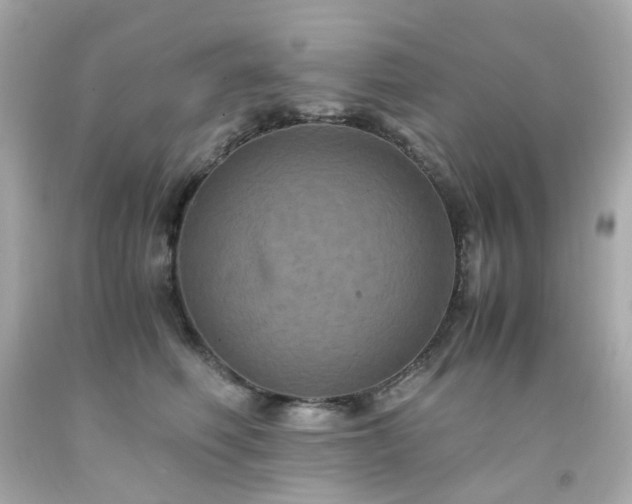 X0000091940614200709121620