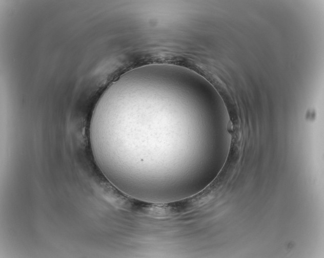 X0000091940615200709121620