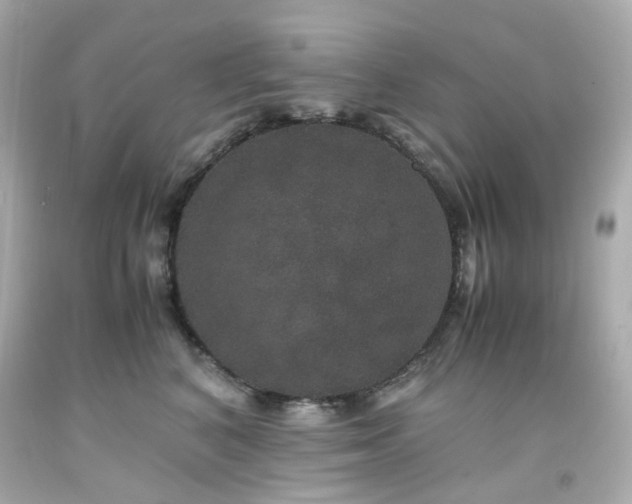 X0000091940616200709121620