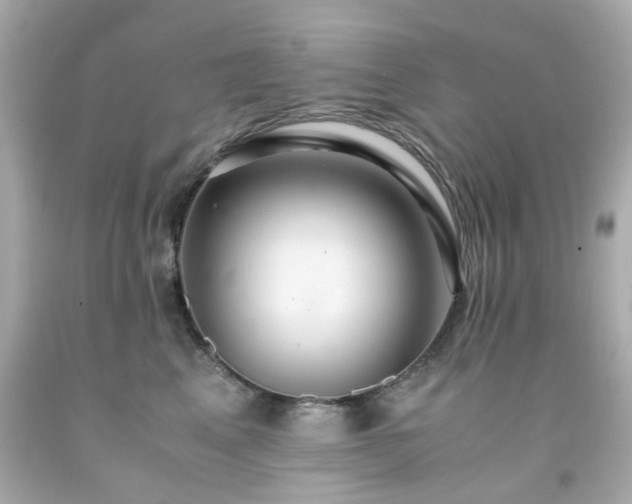 X0000091940617200709121620