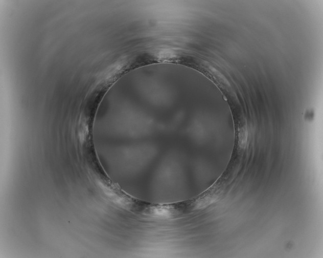 X0000091940618200709121620