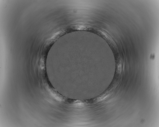 X0000091940620200709121620