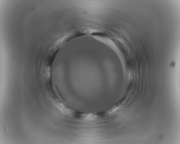 X0000091940621200709121620