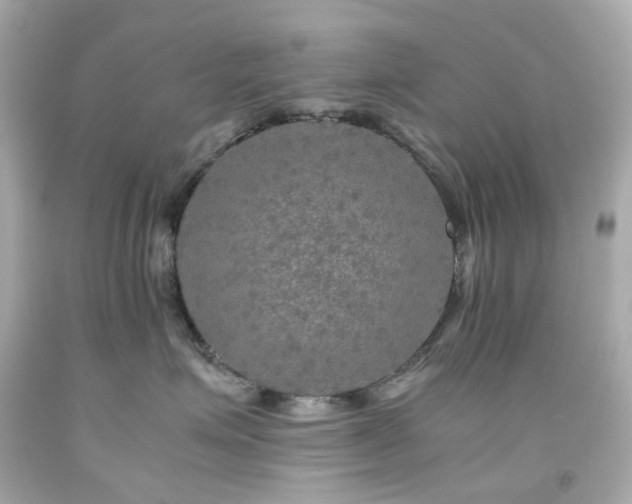 X0000091940623200709121620