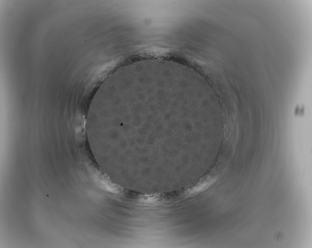 X0000091940624200709121620