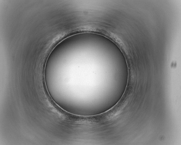 X0000091940625200709121619