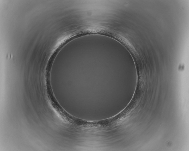 X0000091940626200709121619