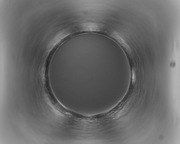 X0000091940627200709121619