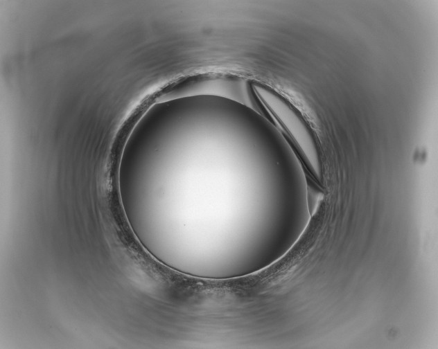 X0000091940628200709121620