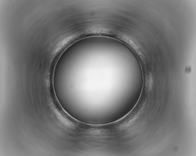 X0000091940629200709121620