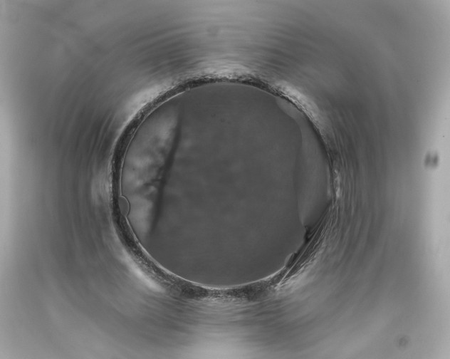 X0000091940630200709121620