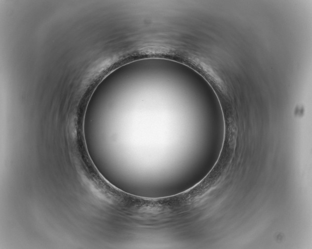 X0000091940631200709121620