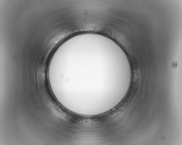 X0000091940632200709121620