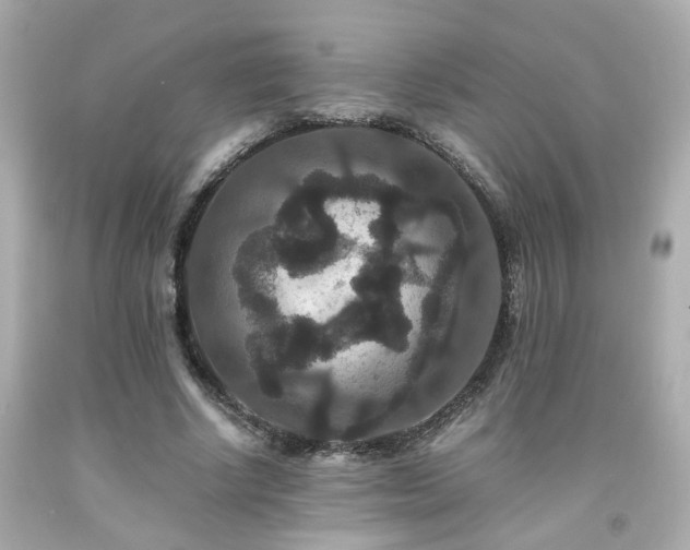 X0000091940634200709121620