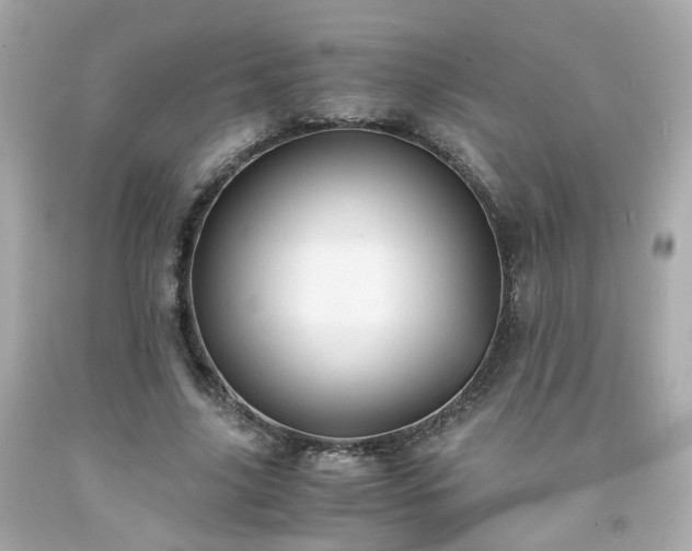 X0000091940635200709121620