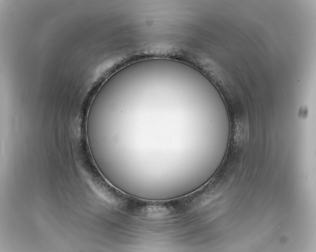 X0000091940636200709121620