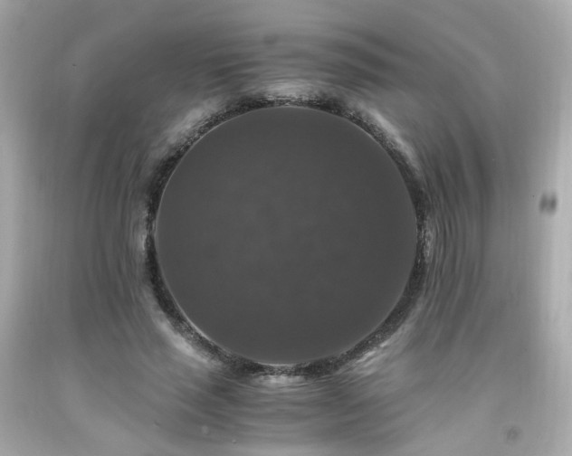 X0000091940637200709121620