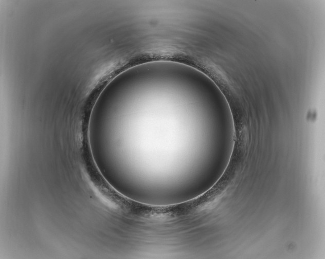 X0000091940638200709121620