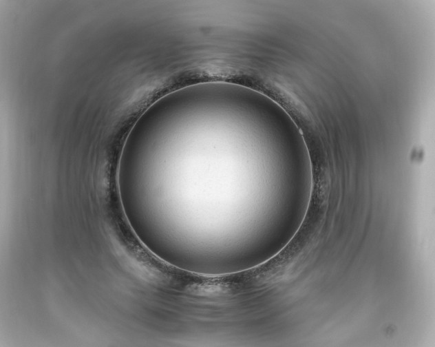 X0000091940639200709121620