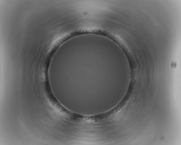 X0000091940640200709121620