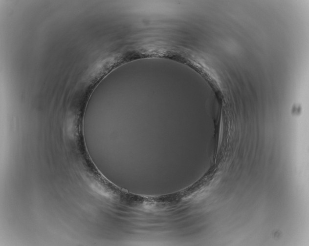 X0000091940641200709121620