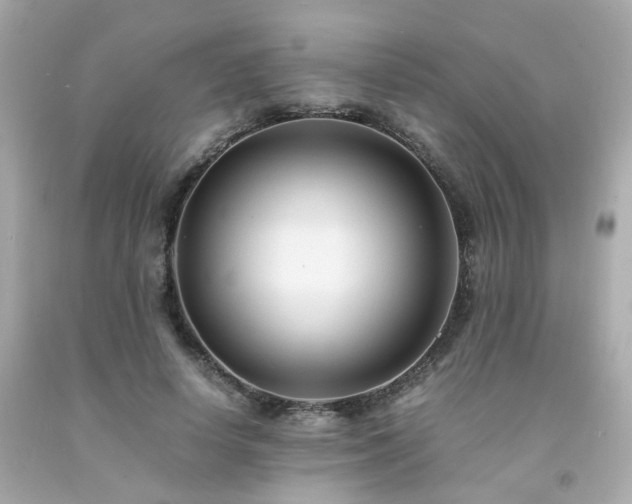 X0000091940642200709121620