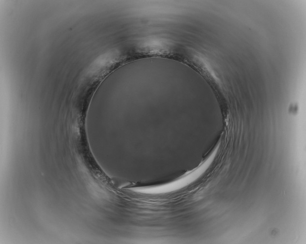 X0000091940643200709121620